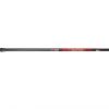 b 'n' m poles black widow 3 section 10' telescopic pole