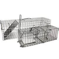 Cage Traps