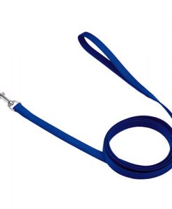 Coastal Single-Ply Nylon Dog Leash 5/8" x 4'