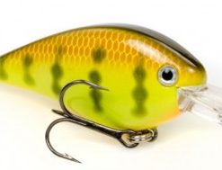 CHARTREUSE PERCH