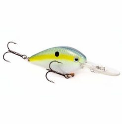 CHARTREUSE SEXY SHAD