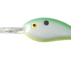 BOMBER FAT FREE SHAD CITRUS SHAD