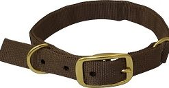 Drake Team Gun Dog Split Ring Collar