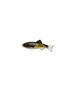 RENOSKY KEYSTONE JIG MINNOW BROWN TROUT