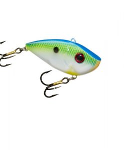 CITRUS SHAD