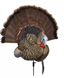 Avian-X Trophy Tom Turkey Decoy