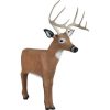 Delta McKenzie Baby Daddy Buck 3-D Target