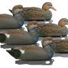 Gadwall Decoy