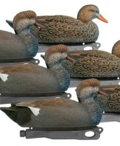 Gadwall Decoy