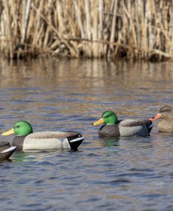 Hard-Core-Field-Series-Mallards