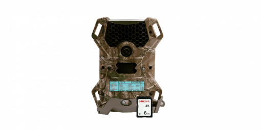 Wildgame Innovations Vision 12 Lightsout Game Camera