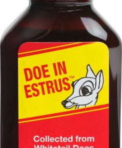 Doe In Estrus