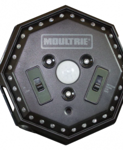 moultrie hog light