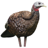 Avian-X LCD Breeder Hen Turkey Decoy, AVX8008