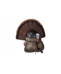 Flextone Thunder Creeper Turkey Decoy