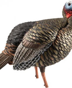 AvianX HDR Jake Turkey Decoy