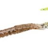 Zoom 6" U-Tail Worm - Pumpkin Chartreuse #001-15