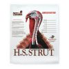 Hunters Specialties Strut Turkey Target