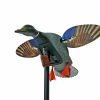 MoJo Outdoors Elite Series - Mini Mallard Drake w/ Remote #HW2487