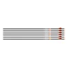 Easton 6.5mm 300 Bowhunter Arrow - 2" Bully Vanes - 6 Pack #829467