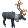 Rinehart 1/3 Scale Woodland Caribou Target #23211