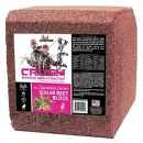 Ani-Logics Crush Sugarbeet Block 20lb #ANI42000