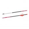 BloodSport Prosecutor Arrows 300 2" Vane 6 Pack #BLDS430