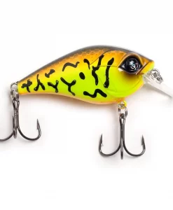 Googan Squad Flat Banger - Cornpop Craw #1001GGS10004G