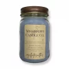 bayou moon candle