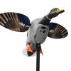 Mojo Mallard Elite Series - King Mallard W/ 6V Li-Ion Battery