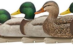 Avian X Open Water Mallard Pack OF 6 #80600WM