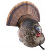 Avian-X LCD Strutter Decoy #8004