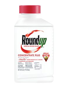 Roundup Weed & Grass Killer Concentrate - 1 Pint #MS5003610