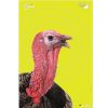 Allen EZ Aim Splash Reactive Paper Turkey Target 8 Pk. 12X18 #15267