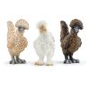 Schleich Farm World Chicken Friends #42574